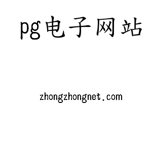 深圳市pg电子网站电子有限公司官网